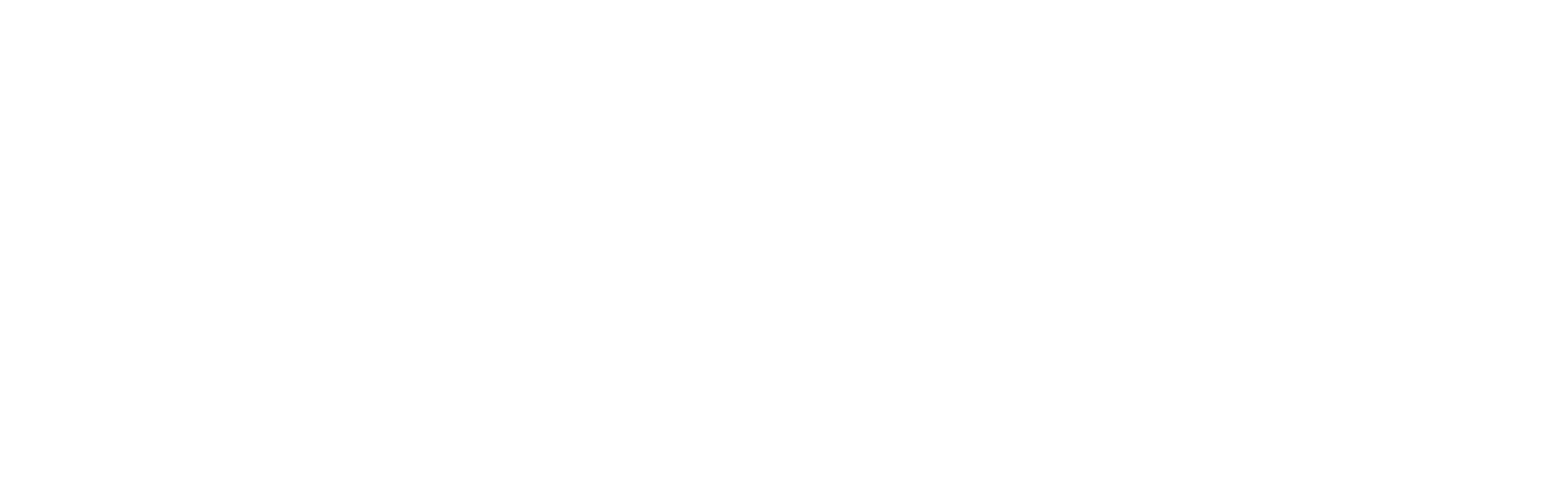 לוגו לבן (1)